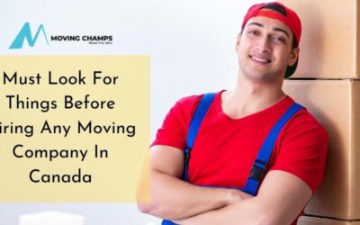 Tips For How to check out moving companies | Moving Champs