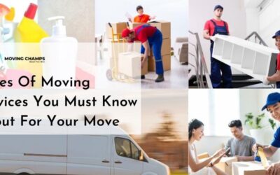 Type Of Moving Company You Must Know About For Your Move