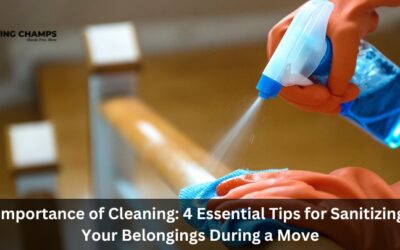 Importance Of Cleaning: 4 Essential Tips For Sanitizing Your Belongings During A Move