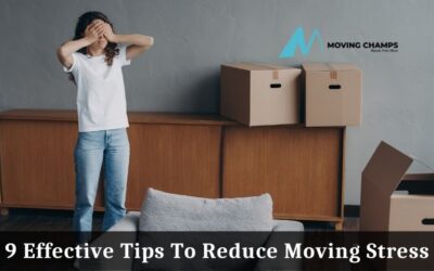 9 Effective Tips To Reduce Moving Stress