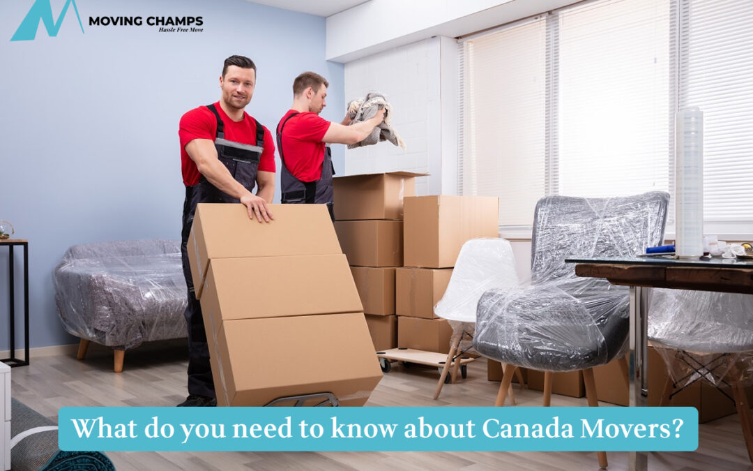 What Do You Need To Know About Canada Movers?