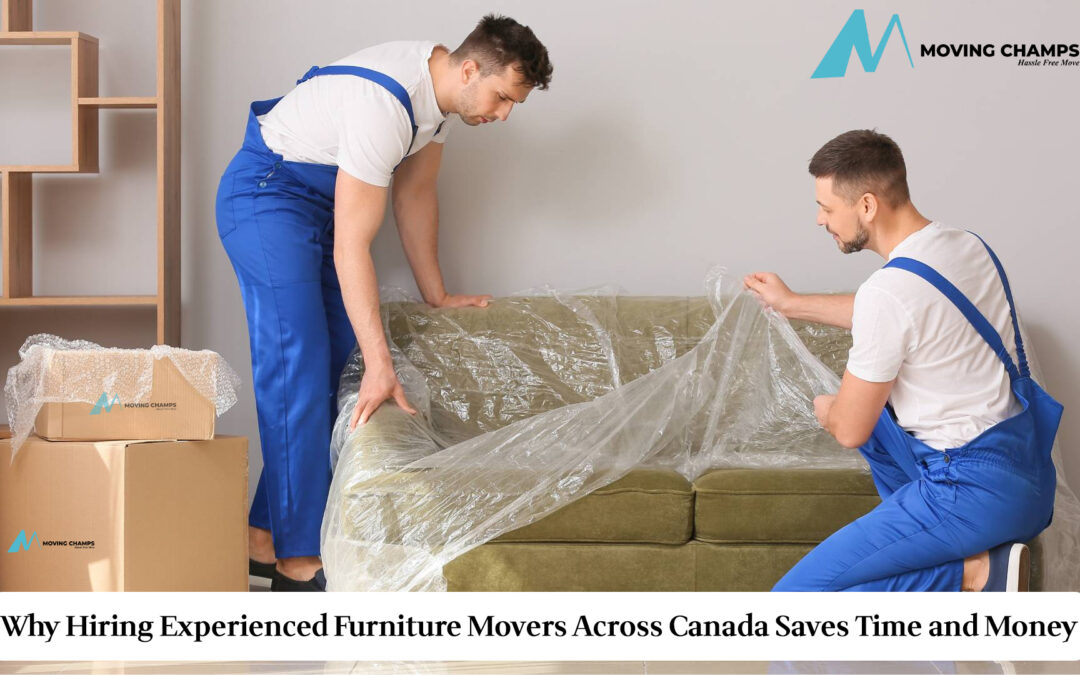 Furniture Movers