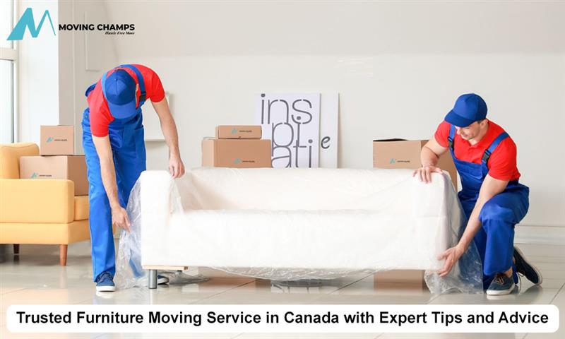 Trusted Furniture Moving Service in Canada with Expert Tips and Advice