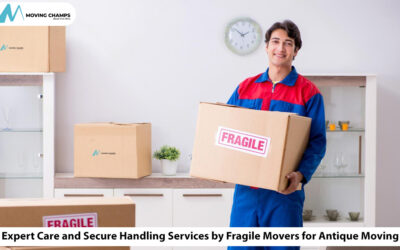 How To Choose Reliable Moving Companies 1 Expert Care and Secure Handling Services by Fragile Movers for Antique Moving